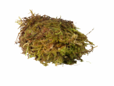 HabiStat Sphagnum Moss 250g