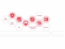 Zyxel LIC-Gold, Gold Security Pack UTM & Sandboxing  (including Nebula Pro Pack) 1 Month  for USG FLEX 100H/100HP