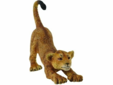 COLLECTA LEV MLÁDĚ STRAGING