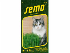 Semeno Tráva pro kočky 10 g