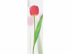 Appree Sticky notes - růžový tulipán