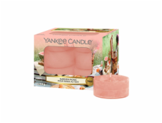 Svíčky čajové Yankee Candle, Piknik na zahradě, 12 ks