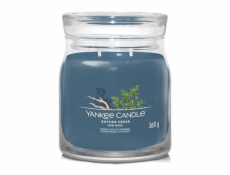 Svíčka ve skleněné dóze Yankee Candle, Pobřežní cedr, 368 g