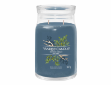 Svíčka ve skleněné dóze Yankee Candle, Pobřežní cedr, 567 g