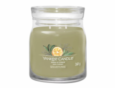 Svíčka ve skleněné dóze Yankee Candle, Šalvěj a citrus, 368 g