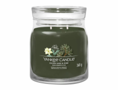 Svíčka ve skleněné dóze Yankee Candle, Stříbrná šalvěj a borovice, 368 g