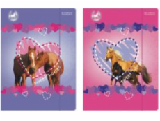 Starpak Folder s gumičkou A4 Horses - 9298952)