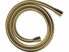 Hansgrohe isiflex b 1600mm pgo