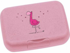 Leonardo Box na oběd Flamingo