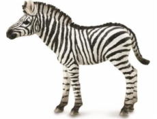 Collecta figúrka ZEBRA FOAL