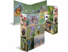 Zakladač Herma HERMA Ordner A4 Heimatvögel Zakladač Herma HERMA Ordner A4 Heimatvögel