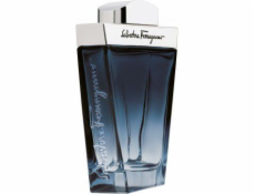 Salvatore Ferragamo Subtil EDT 100 ml