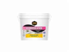 Hydroizolátor Master Team Aquastop, 1l