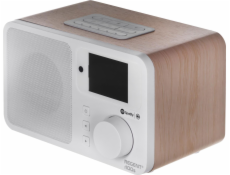 Rádio Ferguson Regent i100S
