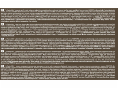 Disperzní barva Pentacolor Professional Mat, bílá, 3l Disperzní barva Pentacolor Professional Mat, bílá, 3l