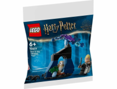LEGO 30677 Harry Potter Draco v zakázaném lese, stavebnice