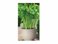 Hrniec Forma Plast Okrúhly 2731, plast, V 35 cm, hnedá