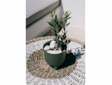 Hrniec Prosperplast Ryfo, plast, O 14,5 cm, zelený