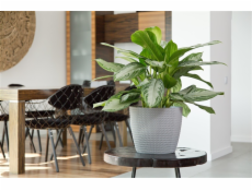 Hrniec Lamela Magnolia 733-27, plast, H 19 cm, sivý