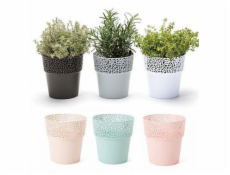 Hrniec Lamela Rosa 655-05, plast, H 12 cm, biely