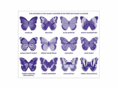 Mudpuppy Pexeso motýli