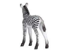 Mojo Zebra mládě