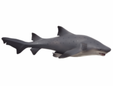 Mojo Žralok bělavý velký