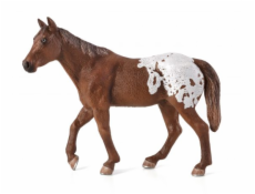 Mojo Appaloosa hřebec blanket