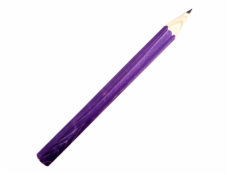 Fauna Velká tužka fialová