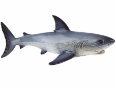 Žralok biely