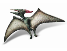Pteranodon Museum Line Pteranodon Museum Line