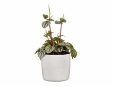 Hrniec Scheurich Perla 64668, keramika, H 18 cm, biely