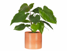 Hrniec Scheurich Papaya 63436, keramika, H 16 cm, oranžový