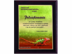 Victoria Sport Diploma z plastu s barevným dotykovým laminátem Victoria Sport Diploma z plastu s barevným dotykovým laminátem