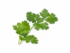 Véritable Lingot Italská petržel - BIO