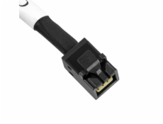 mini-SAS-Adapterkabel SST-CPS06, SFF 8643 > SFF-8087