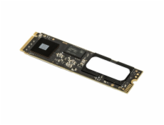 Aura Pro IV 500 GB, SSD