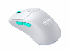Cherry CHERRY XTRFY M64 Bezdrátová myš, bílá Wireless Maus