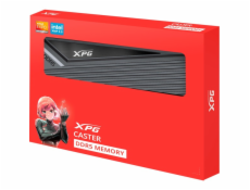 ADATA DIMM 32 GB DDR4-6000 (2x 16 GB) duální sada, RAM