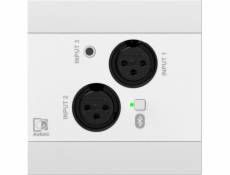 Audac  NWP320/W Síťový zvukový vstupní panel – 2 x XLR + 3,5 mm jack + BT (4 CH) Bílá verze