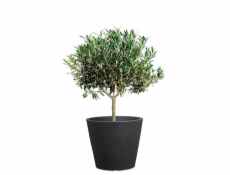 Hrniec Scheurich Stony Black, plastový, H 39 cm