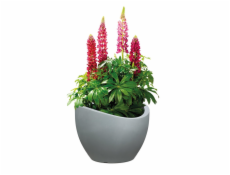 Hrniec Scheurich Stony Grey, plast, O 50 cm, sivý
