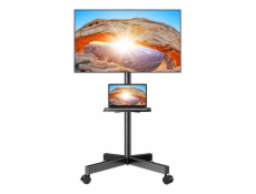TV mount 23-60  Perlegear PGTVMC06