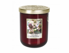 Svíčka Albi velká - Ranní úsvit 