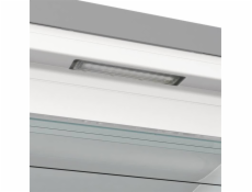 Gorenje FN619EAXL6