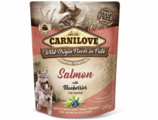 Carnilove Brit Carnilove lososové borůvky Salmon non -berge pro štěňata 300 g