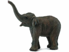 Collecta figúrka ázijskej sloníča (004-88487)