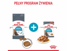 Royal Canin Urinary Care dry cat food 10 kg