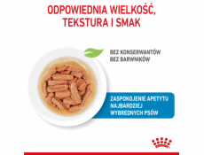 ROYAL CANIN SHN Medium Puppy v omáčce - vlhké krmivo pro štěňata - 10x140g