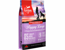 Orijen Puppy Large 6 kg Chicken  Fish  Turkey